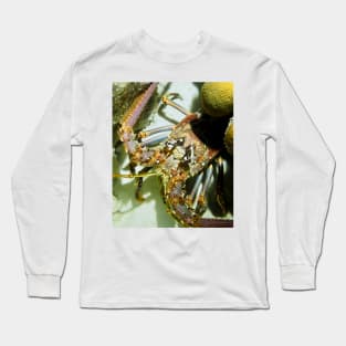 Caribbean Reef Lobster Close Up - Macro Head Photograph Long Sleeve T-Shirt